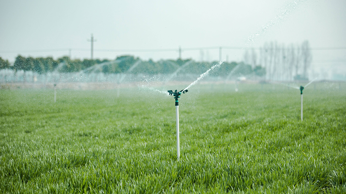 農(nóng)業(yè)灌溉? 農(nóng)業(yè)灌溉?
